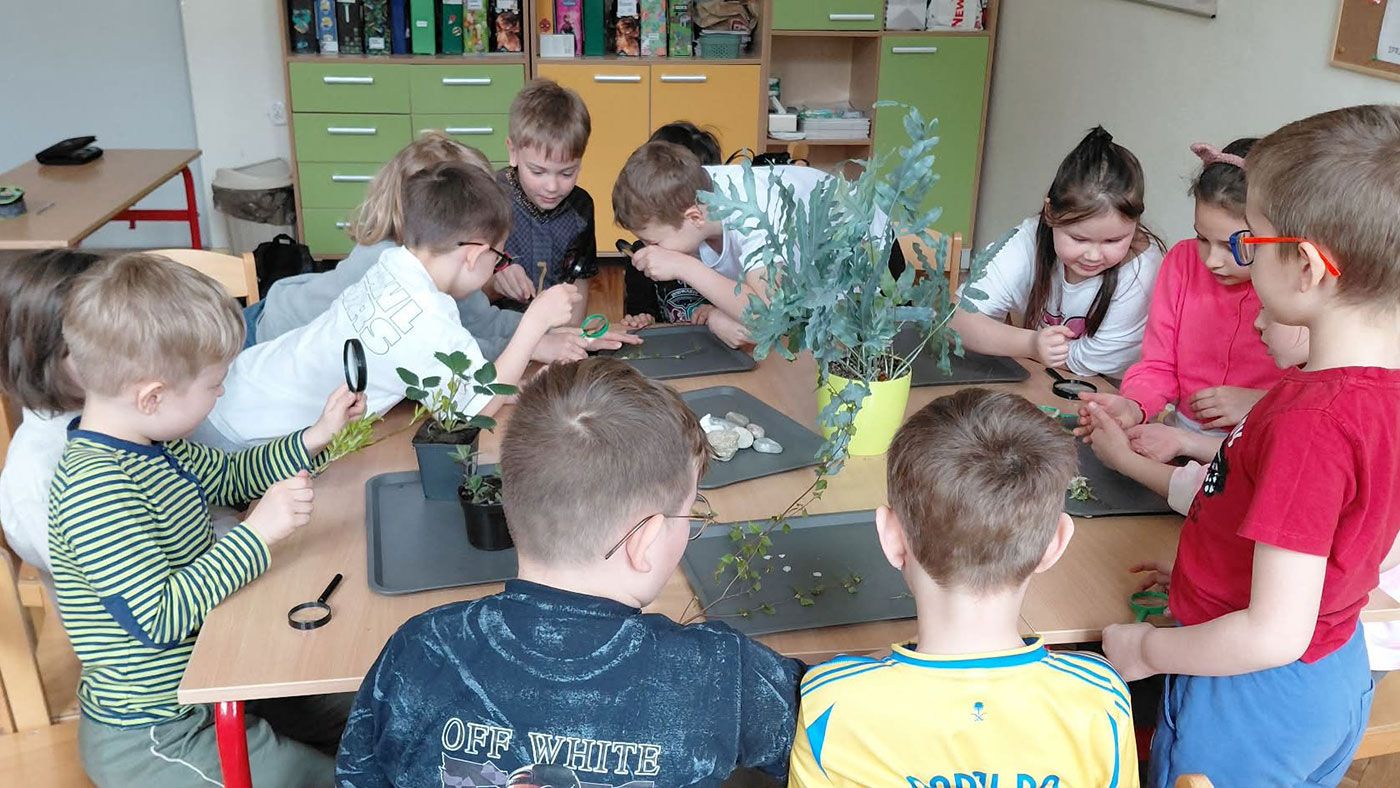 Pierwszaki hodują patyczaki