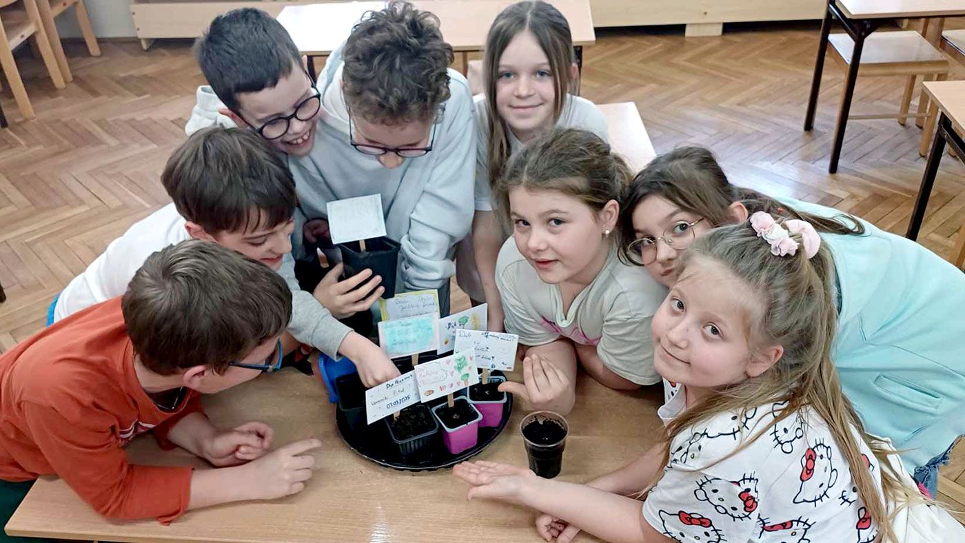 Przyrodnicy z kl.3 zakładają hodowlę dębu - zajęcia projektowe